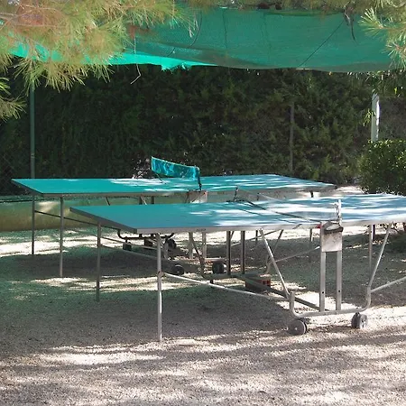 Complejo De Turismo Rural Monte Replana Novelda